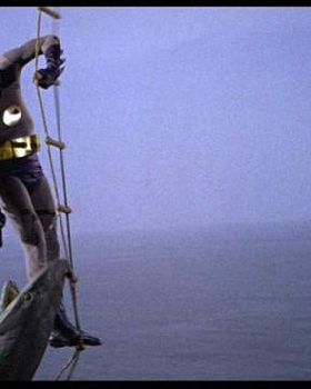 Bat%20Shark%20Repellant