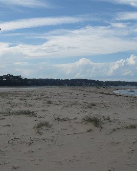 looking north up the sandspit