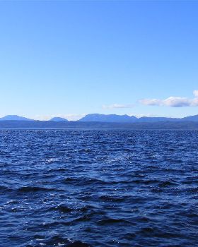 Wall at Macquarie Harbour
