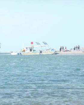 P1020509