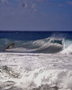 DSC02513-R