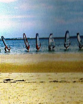 Windsurfing Star