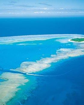 Lady-Musgrave-Island 015271