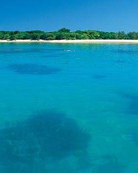 Lady-Musgrave-Island 015299