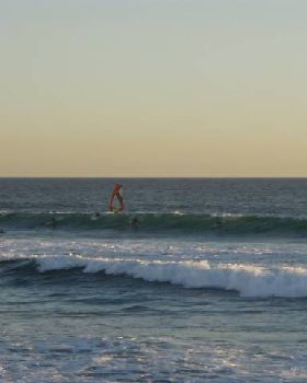 P1110011