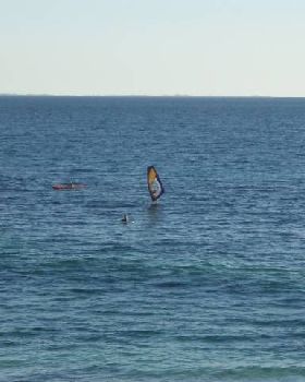 Bertie light wind wave sailing