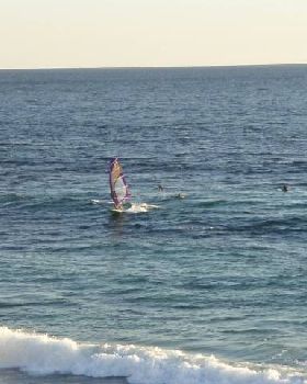 Bertie light wind wave sailing