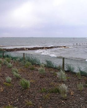 P5220301