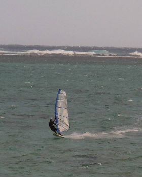 8.30 am sail