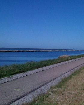hollands