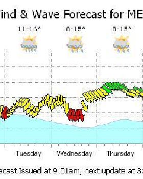 forecast