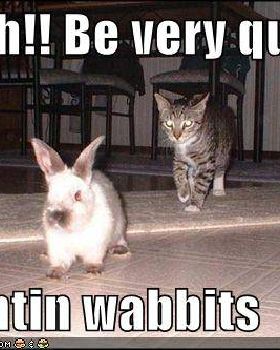 wabbits