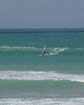 portfairy3