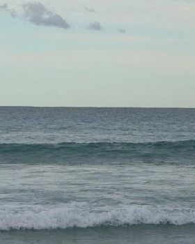 Caves Beach locals