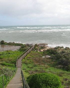snapper point 2/07/09
