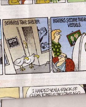 w'surf cartoon002