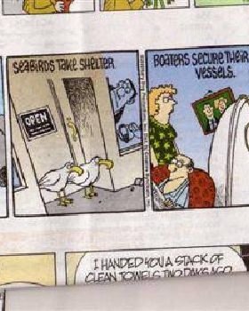 w'surf cartoon002 (Small)