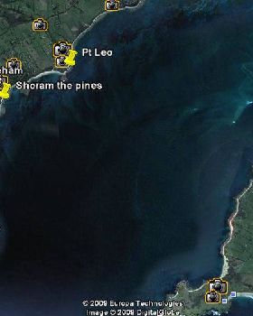 ptleo