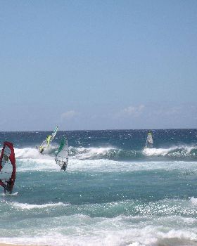 Early North Swell
