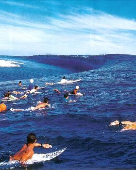 Just when you thought it was safe to go back into the ocean