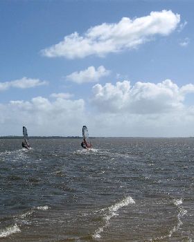 windy & cold