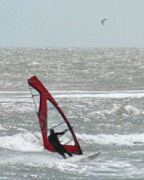 seacliff 100
