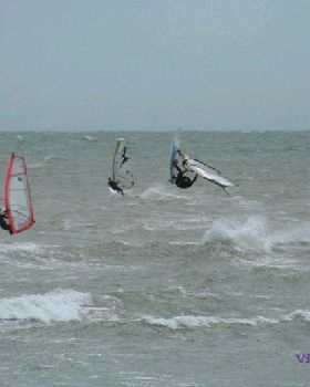 seacliff 103