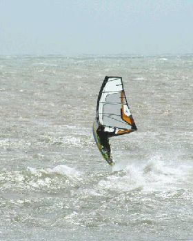 seacliff 118