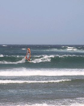 NSWWA Heat 2  Sat