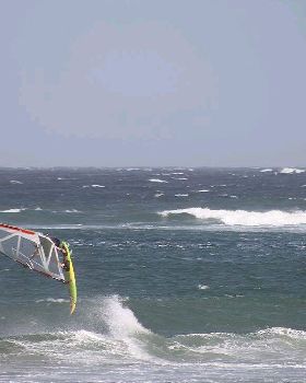 NSWWA Heat 2