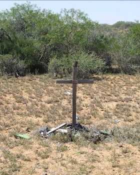 R.I.P     KIWI      North West  Ninga 260kmph  11 years