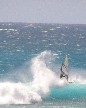 Scott McKercher