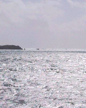 SNC00041