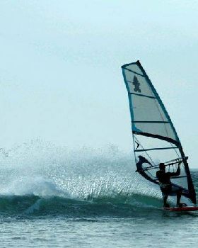 Photo's by Vikki Collis