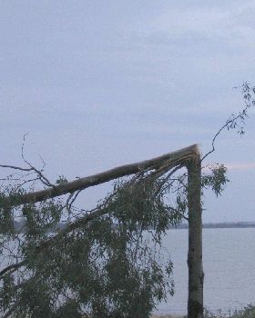 Yesterday's storm that hit Barmera 60+ knot winds and heavy rain
