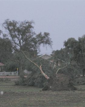 Yesterday's storm that hit Barmera 60+ knot winds and heavy rain