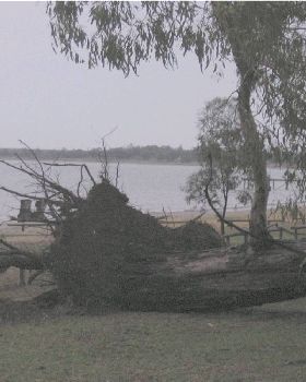 Yesterday's storm that hit Barmera 60+ knot winds and heavy rain