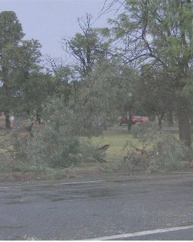 Yesterday's storm that hit Barmera 60+ knot winds and heavy rain