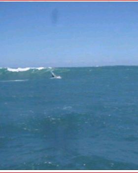 Hells Gates 25 11 09