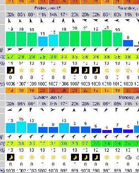 WF Sun 17