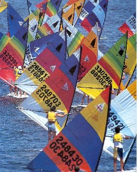 Old race in Sydney Harbour