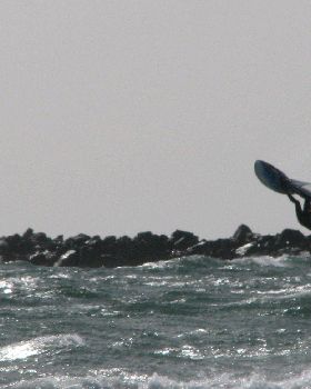 nth haven