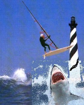 shark attack
