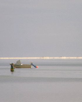 The famed sandy point speed run on a windless day