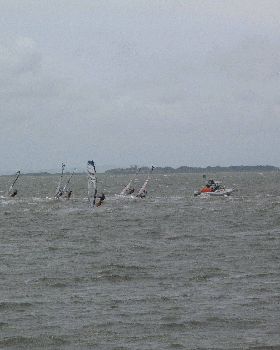 Waterloo Cup 2010