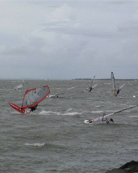 Waterloo Cup 2010