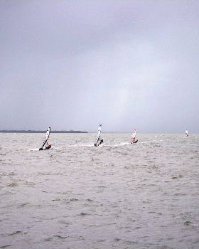 Waterloo cup (13)