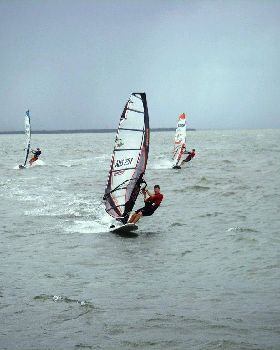 Waterloo cup (14)