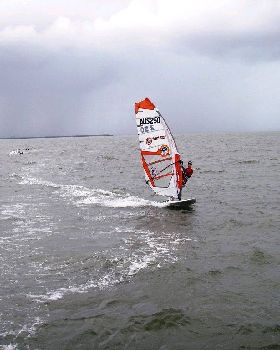 Waterloo cup (15)