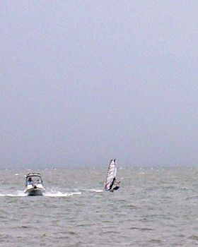 Waterloo cup (18)